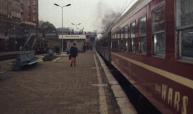Pociąg specjalny z parowozem Pm36-2 ze Szczecina Głównego do Choszczna...
